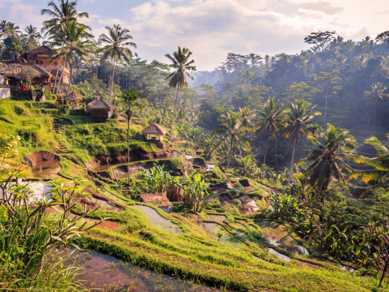 Görkemli Tropikal Ada Bali 5 Gece - Singapur Hava Yolları ile (2026 Yaz Dönemi) AT1362