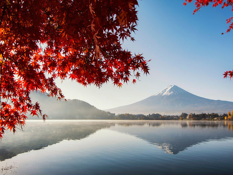 Comfort Japonya Turu Etihad Hava Yolları ile 6 gece Ekstra Turlar Dahil 2026 Dönemi NRT-KIX - GB - 1065