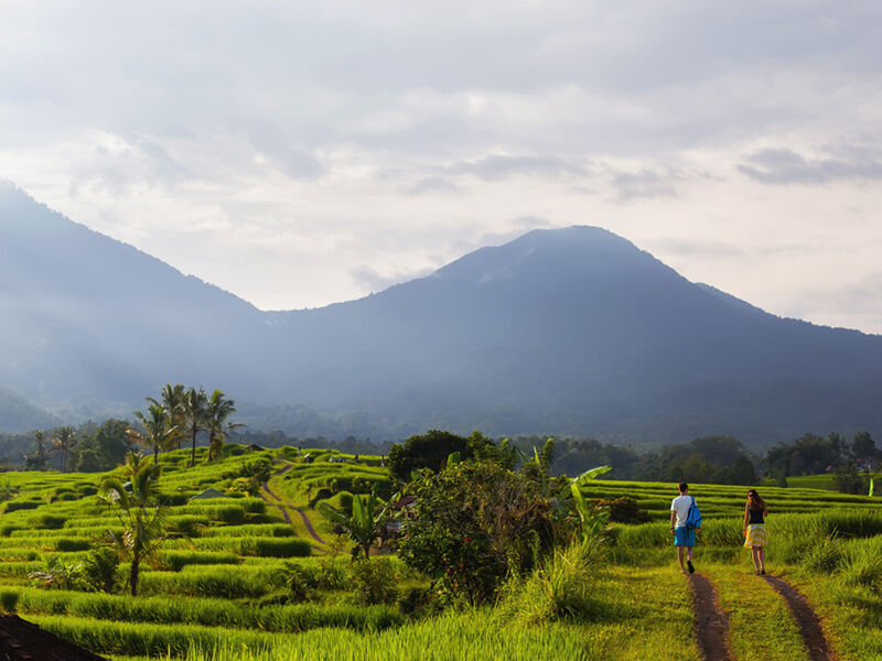 Görkemli Tropikal Ada Bali & Ubud 5 Gece - Singapur Hava Yolları ile (2026 Kış Dönemi) - AT - 1321