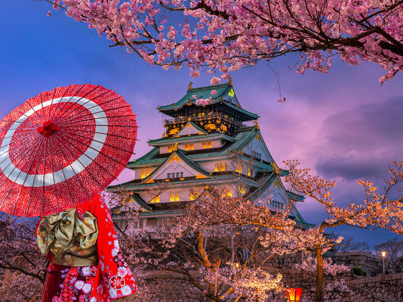 Comfort Japonya Turu Türk Hava Yolları ile 6 gece Ekstra Turlar Dahil ve Çay Seremonisi Dahil NRT-KIX 2026 - GB - 1114