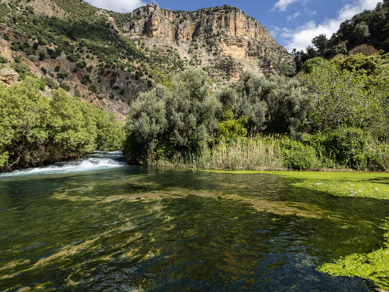 Kurban Bayramı Özel Görkemli Fas Krallığı ve Mistik Şehirler (Tüm Turlar ve Akşam Yemekleri Dahil) AT1266