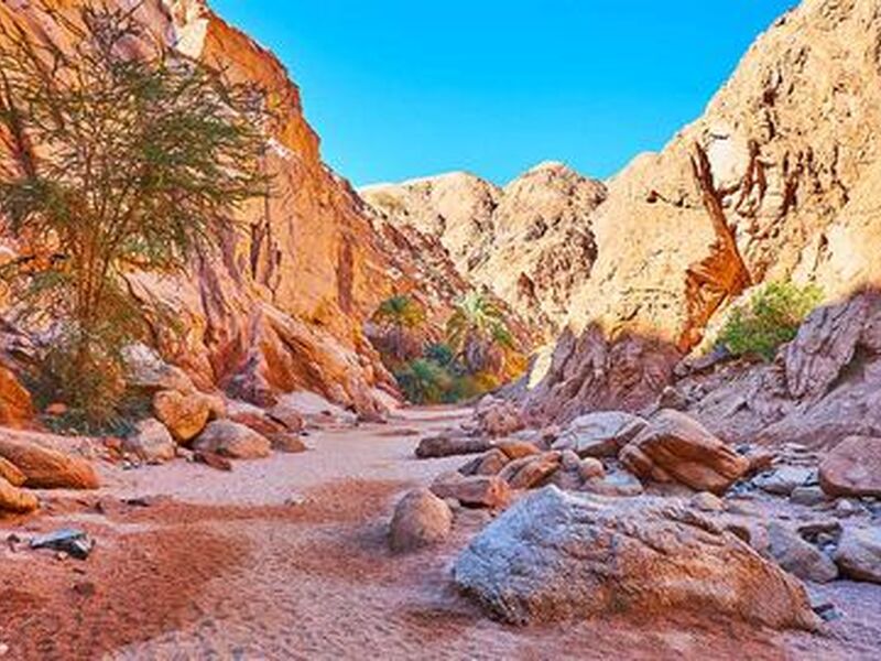 Baştanbaşa Mısır Masalı (Sharm – Kahire – Hurghada) 8 Gece – 9 Gün (7 Gece Otel Konaklaması) 22 Mayıs Hareketli - 1197