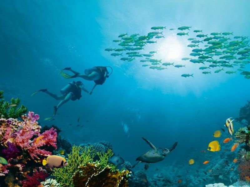 Sharm El Sheikh Turu Ajet Havayolları İle 4 Gece Gidiş-Dönüş Gündüz Uçuşu
