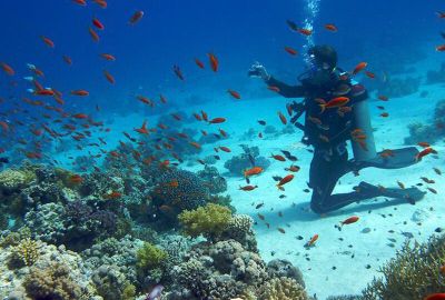 Promosyon Sharm El Sheikh Turu Ajet Havayolları  ile 5 Gece Transfer Saatine Kadar Otel Kullanımlı