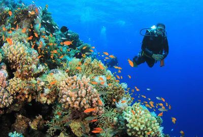 Promosyon Sharm El Sheikh Turu Ajet Havayolları  ile 4 Gece Transfer Saatine Kadar Otel Kullanımlı