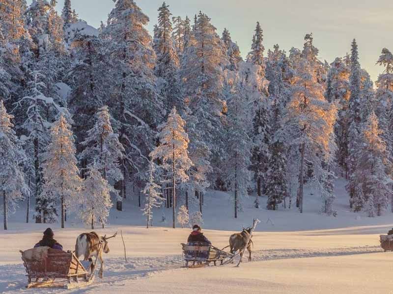 Vize Dahil Lapland Kuzey Işıkları Turu – Murmansk – St. Petersburg – Moskova // Tüm Şehir Turları Dahil !!!