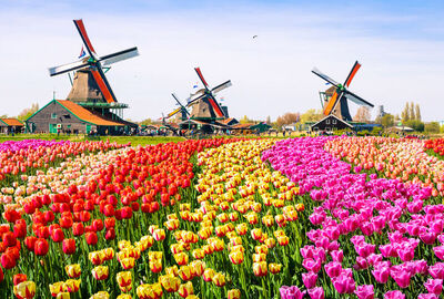 Antalya`dan Direket Hareket Görkemli Üçlü Benelüx & Fransa & Almanya 7 Gece - SunExpress ile (Yılbaşı Özel) AT1019