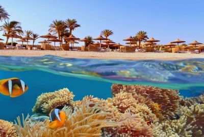 Sharm - (Dahab) - Kahire ve İskenderiye Turu 5 Gece Konaklamalı - Sabah Gidiş