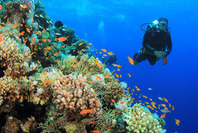 Vizesiz İzmir Çıkışlı Pegasus İle Kızıldeniz Rüyası Prestij Sharm El Sheikh Turu 4 Gece 5 Gün - 385