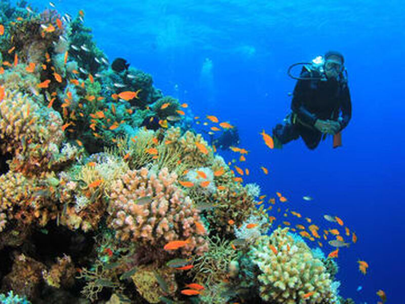 Promosyon Sharm El Sheikh Turu Ajet ile 4 Gece Otelden Erken Çıkışlı