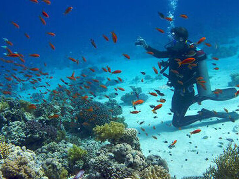 Promosyon Vizesiz Sharm El Sheikh Turu 6 Gece Konaklamalı Transfer Saatine Kadar Otel Kullanımı